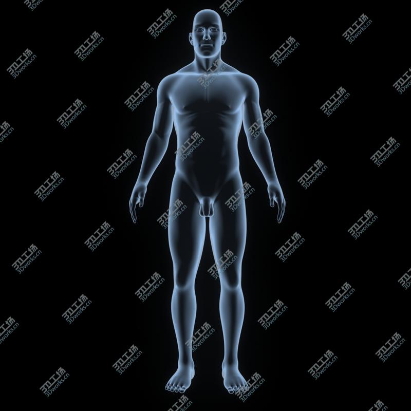 images/goods_img/2021040232/Brain with Nervous system 3D model/5.jpg